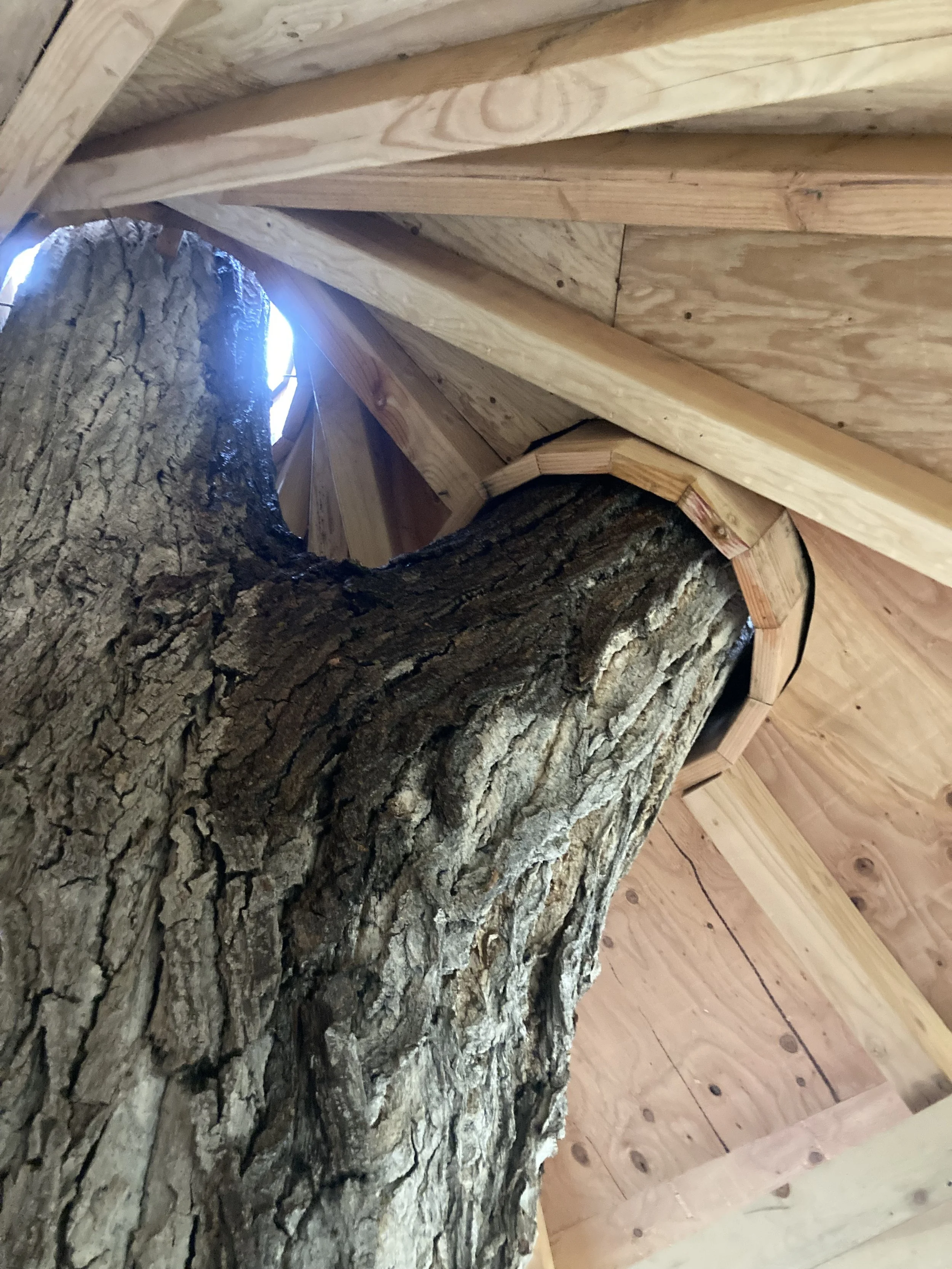 Tahoe Deck project 24