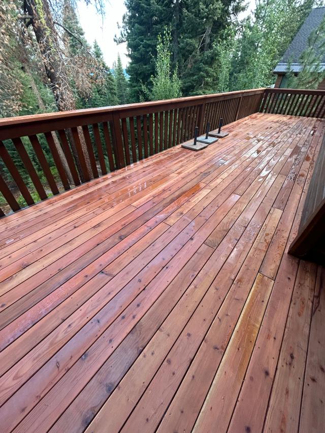 Rain-slicked redwood decking and baluster railing framed by evergreen forest