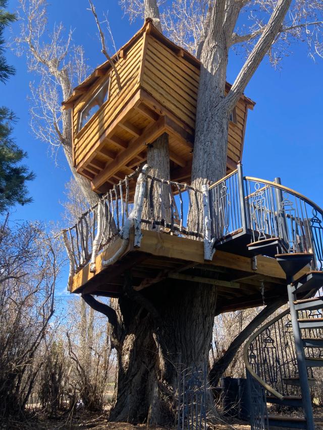 Finished treehouse with rustic branch railing and spiral staircase entry